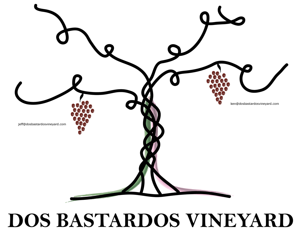 Dos Bastardos Vineyard